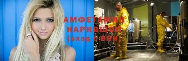 гидра Алексин