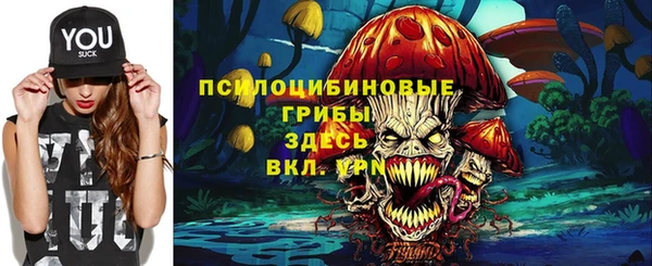 мдпв Алзамай