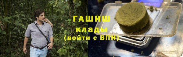 гидра Алексин